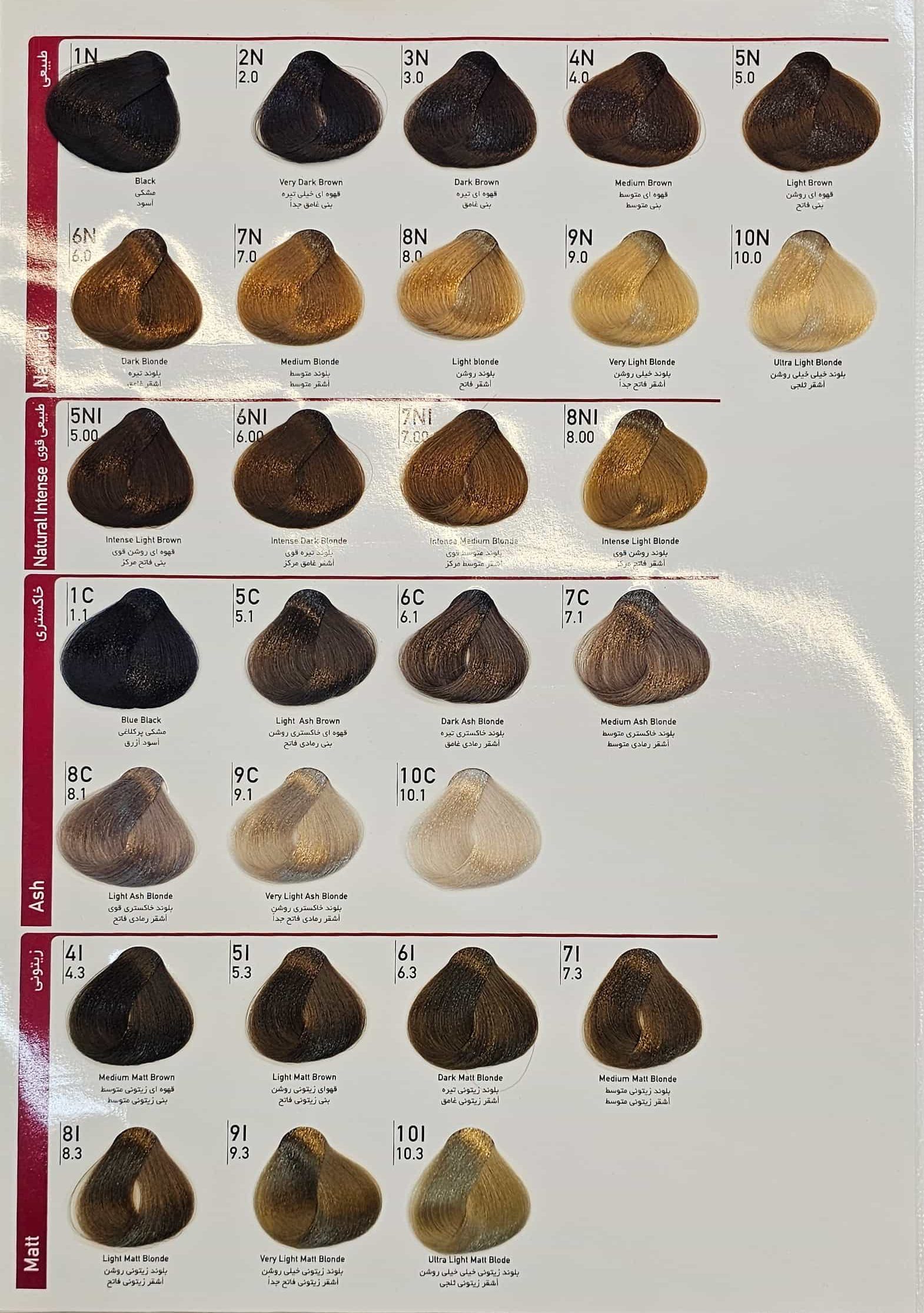 Dilenzo-Hair-Color-Catalog1