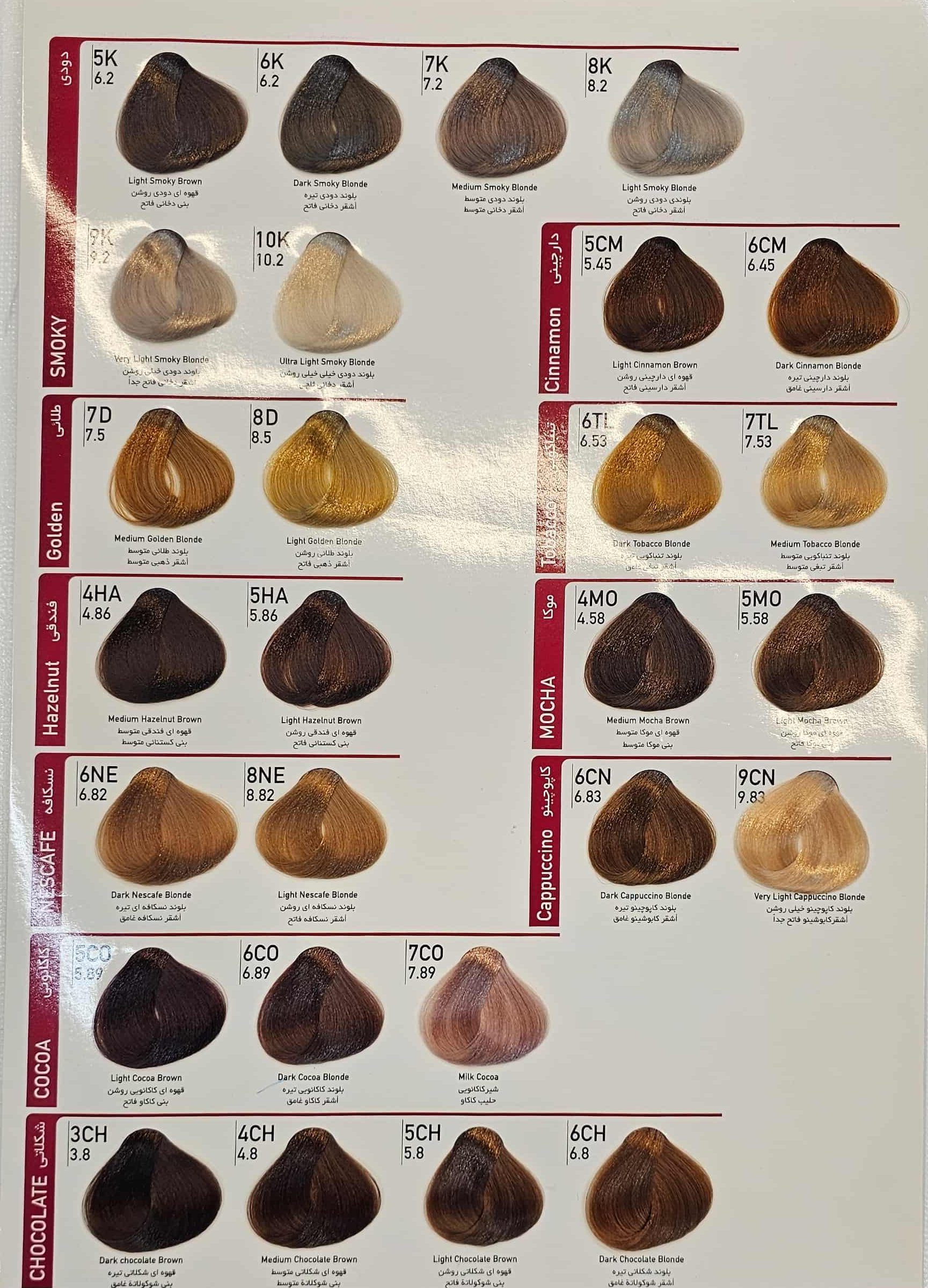 Dilenzo-Hair-Color-Catalog2