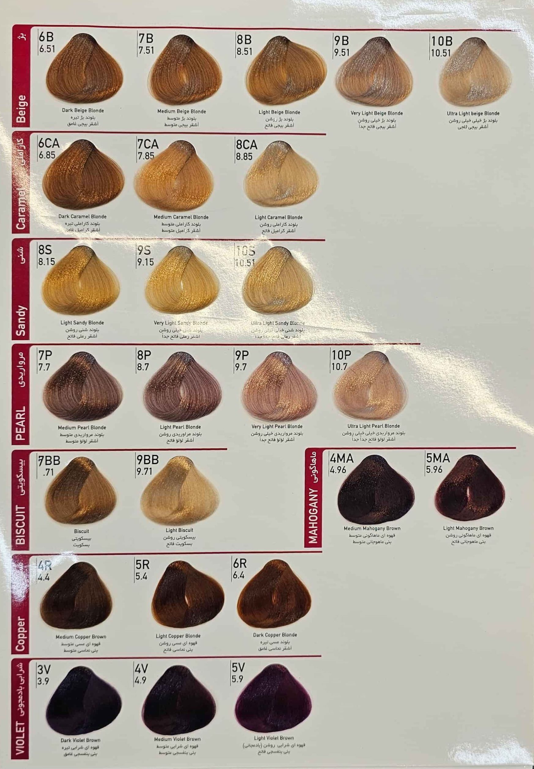 Dilenzo-Hair-Color-Catalog3