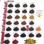 4girls-Hair-Color-catalog3