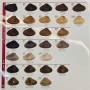 Dilenzo-Hair-Color-Catalog1