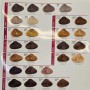 Dilenzo-Hair-Color-Catalog2